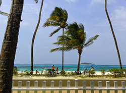 Playa del hotel